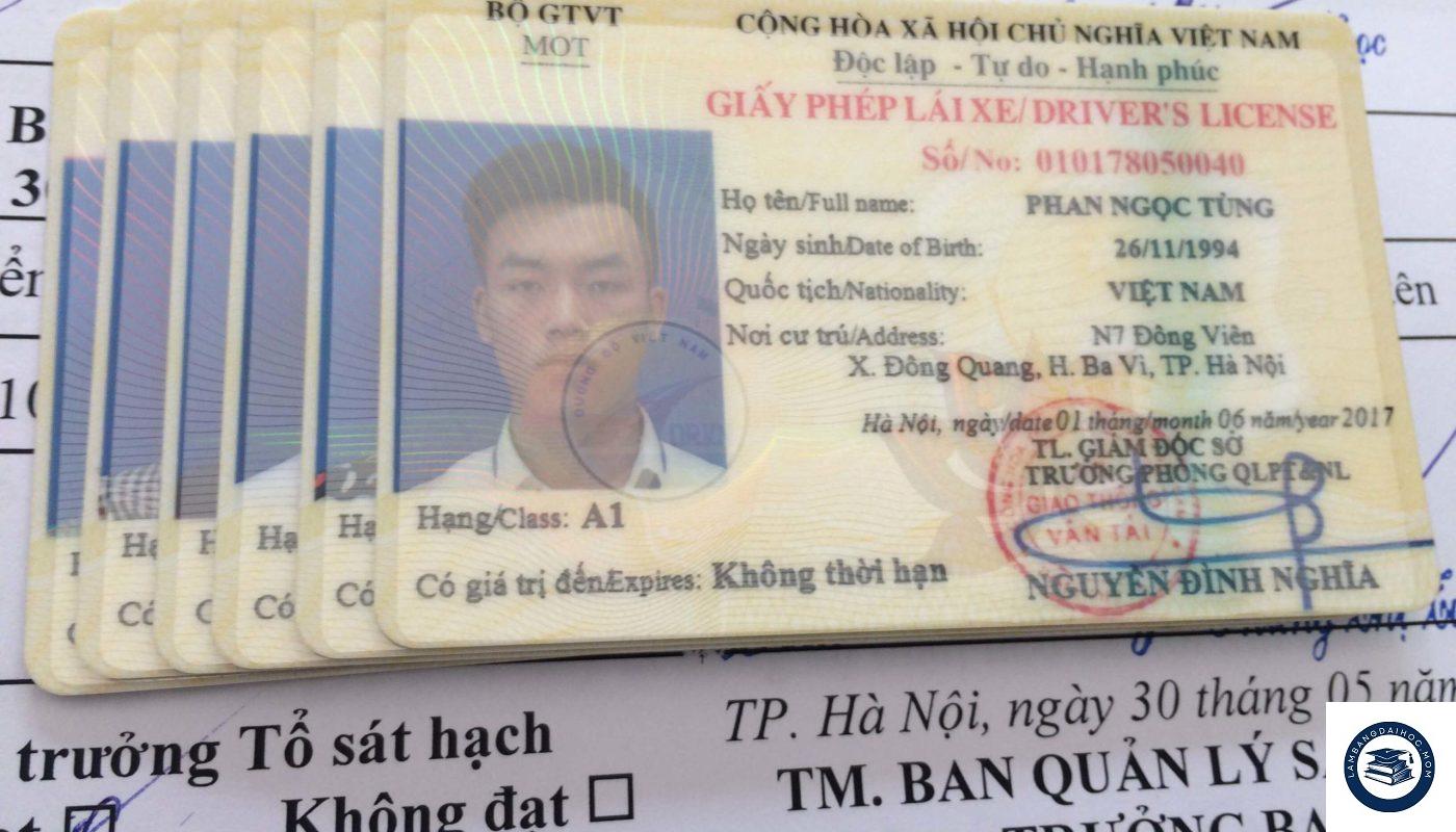 Làm bằng lái xe